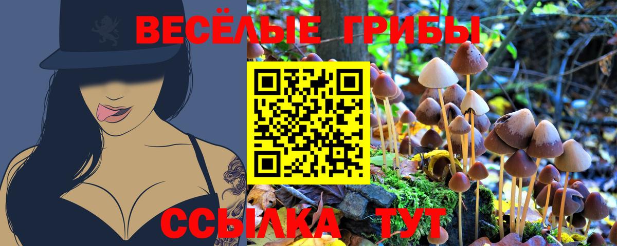 Псилоцибиновые грибы ЛСД  Вход с VPN  Чусовой 