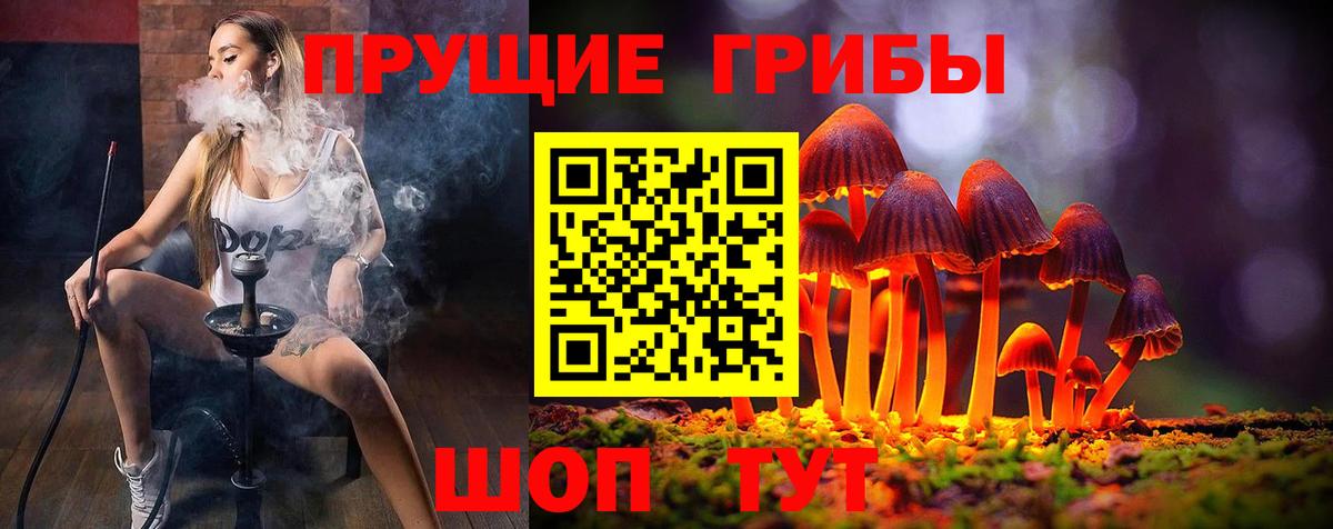 Галлюциногенные грибы Psilocybine cubensis Чусовой
